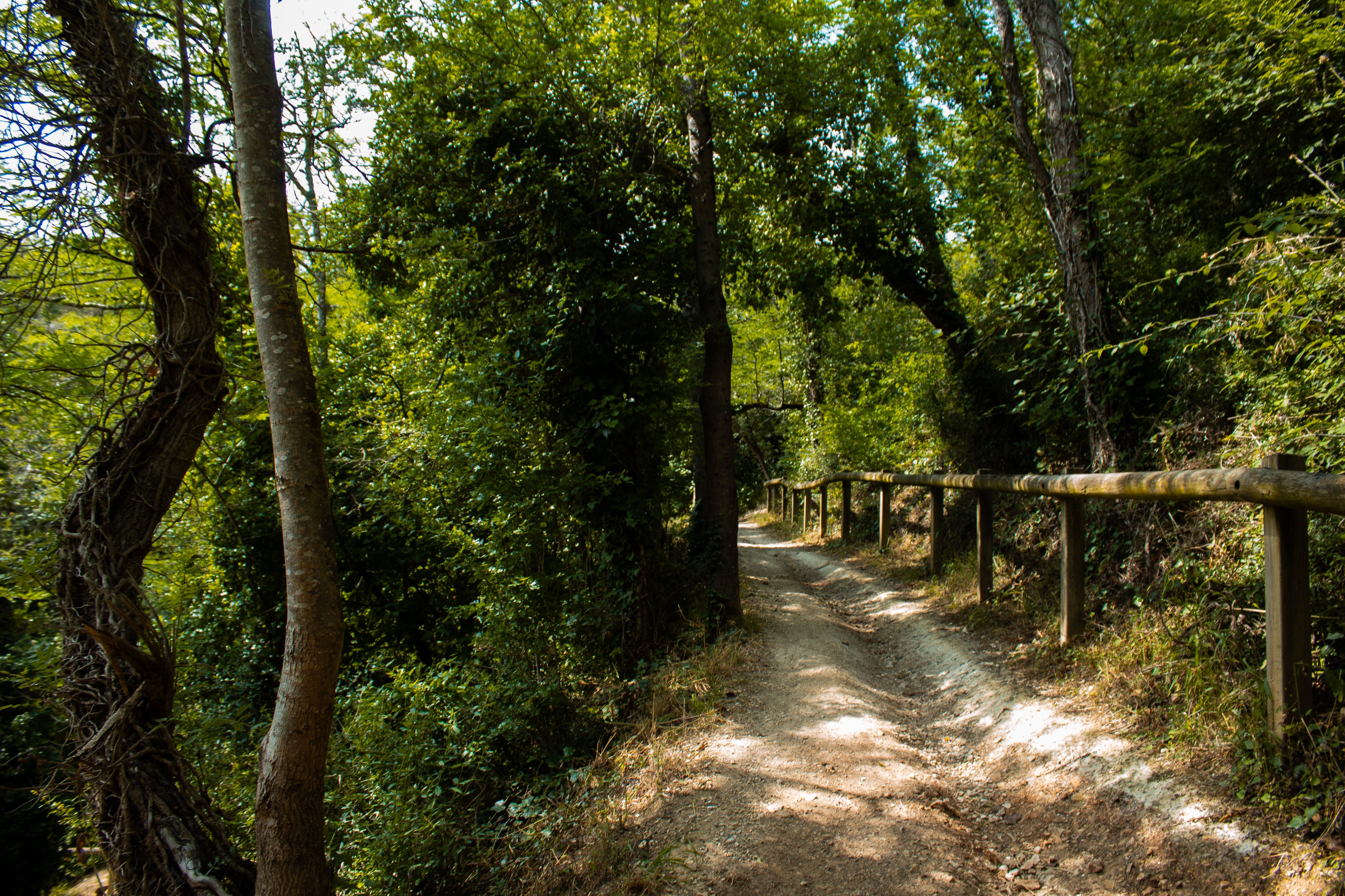 Chemin en S du tunnel Saint-Léonard